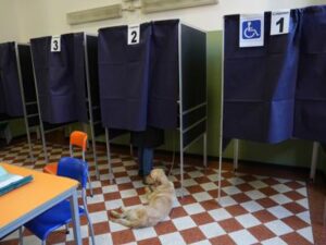 Elezioni 2023, Treviso: confermata vittoria del Centrodestra